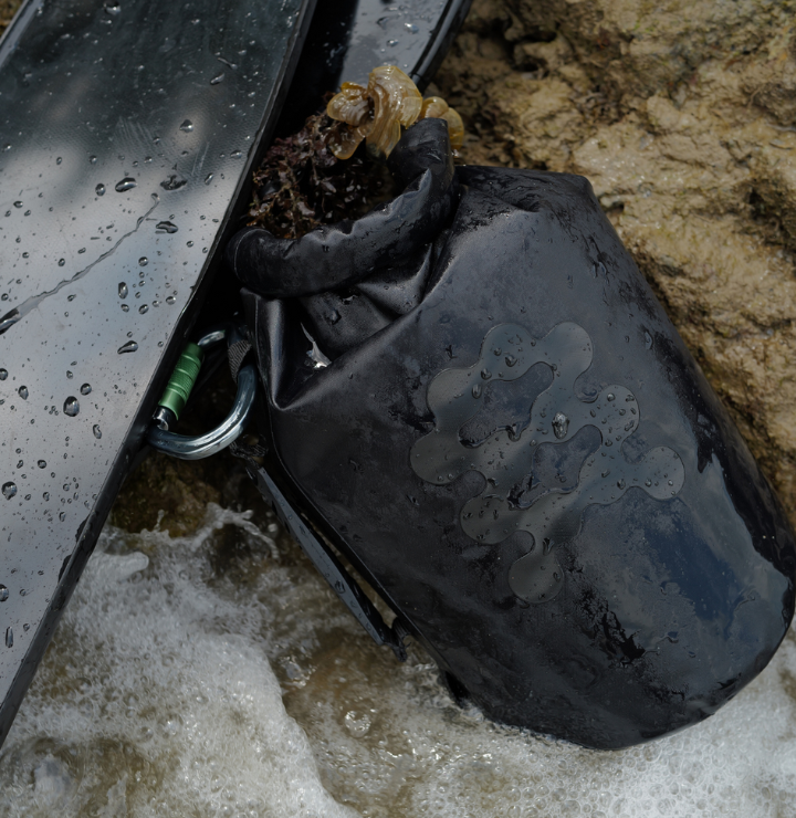 Carabiner Dry Bag