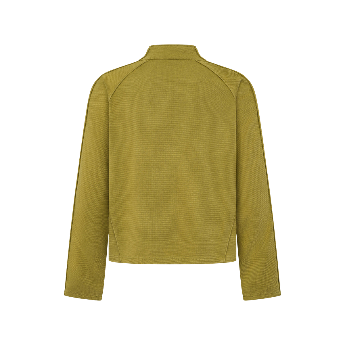 Talus Half-Zip Pullover in Lichen Yellow, flat lay, back