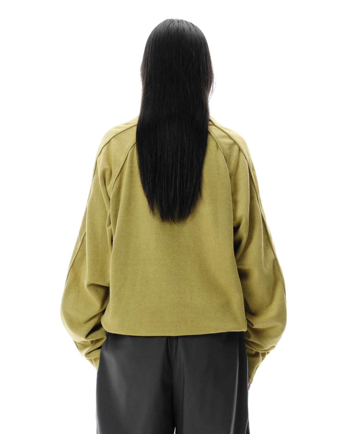 Talus Half-Zip Pullover in Lichen Yellow, back view on model